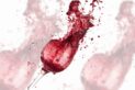 Illustration des “wine moms” ciblées par la rhétorique trumpiste autour de l’ICE
