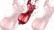 Illustration des “wine moms” ciblées par la rhétorique trumpiste autour de l’ICE