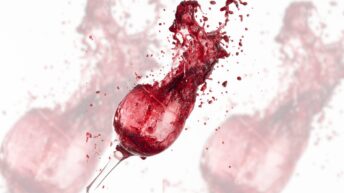 Illustration des “wine moms” ciblées par la rhétorique trumpiste autour de l’ICE